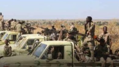 الجيش يواصل تقدمه في كردفان