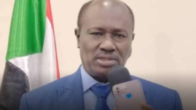 وزير الداخلية اللواء معاش خليل باشا سايرين