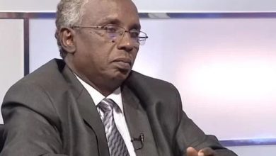 عثمان ميرغني