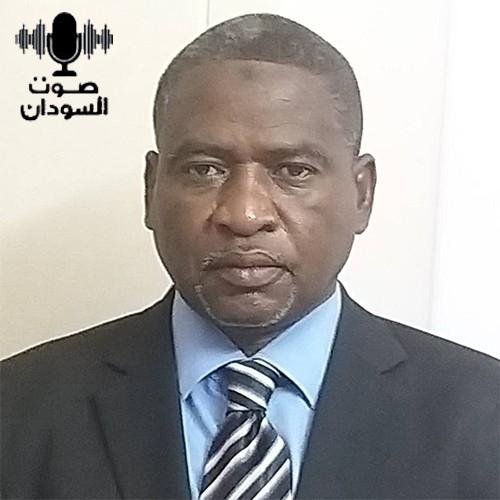 الباحث السوداني البروفيسوى علي عيسى