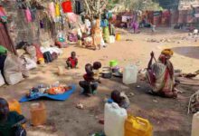 غابات أولالا الأثيوبية