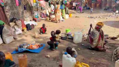 غابات أولالا الأثيوبية