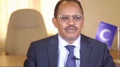 عبد العزيز حسن صالح سفيراً لدى إيران