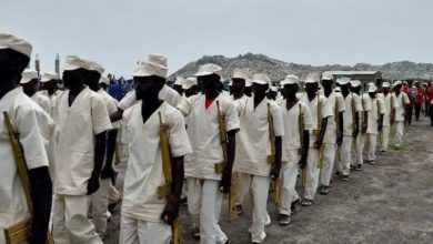 الاستنفار الشعبي