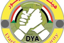 هيئة شباب دارفور