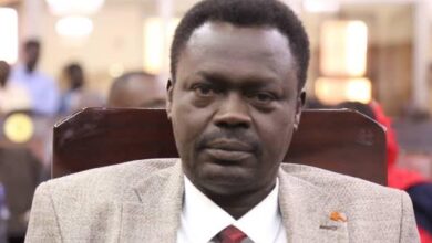 مني أركو مناوي حاكم إقليم دارفور