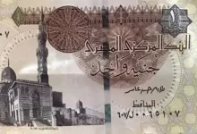 الجنيه المصري