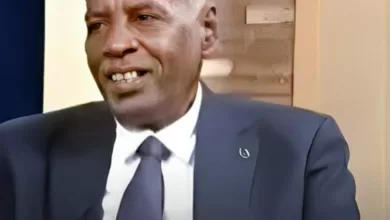 وزير التربية والتعليم السوداني المكلف، أحمد خليفة