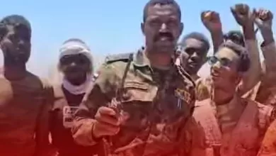 درع السودان تسيطر على مشروع سندس وتقترب من جبل أولياء