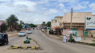 مدينة نيالا